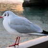 IMG_8842-2
