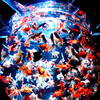 club金魚