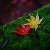 red&yellow
