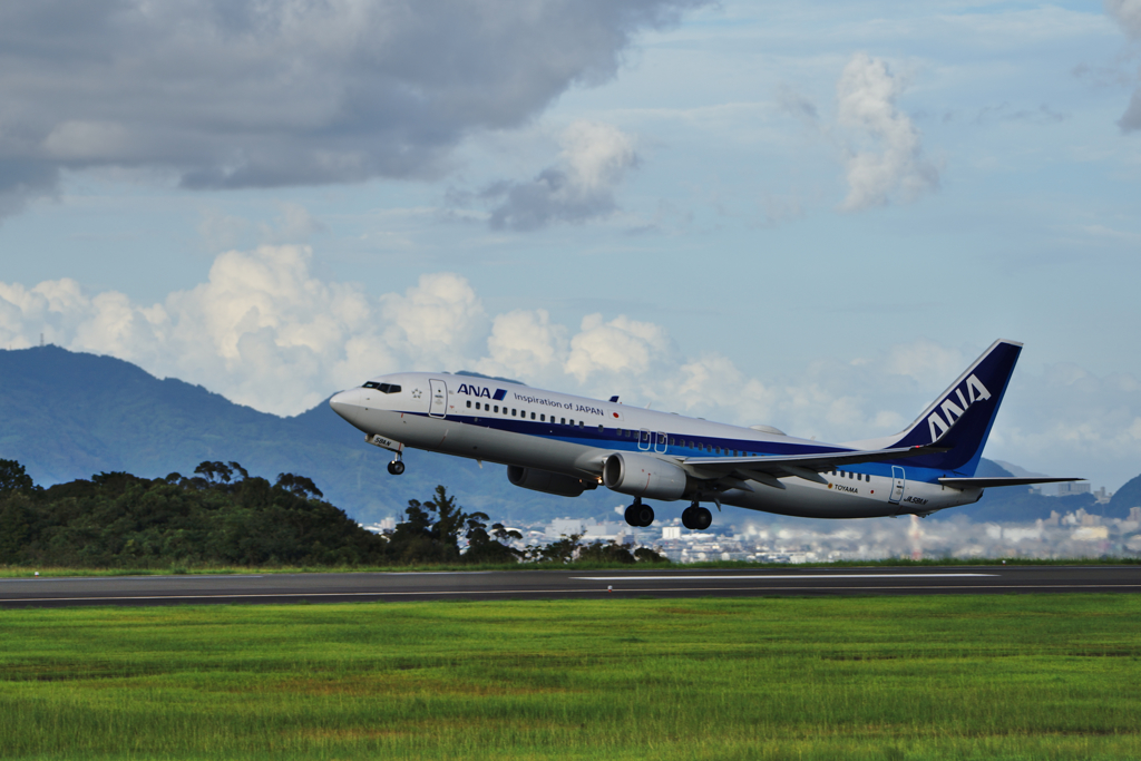 ANA 夏空へ