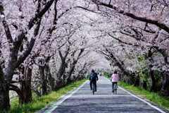 「きれいね。」「うん。きれいだな。」