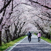 「きれいね。」「うん。きれいだな。」