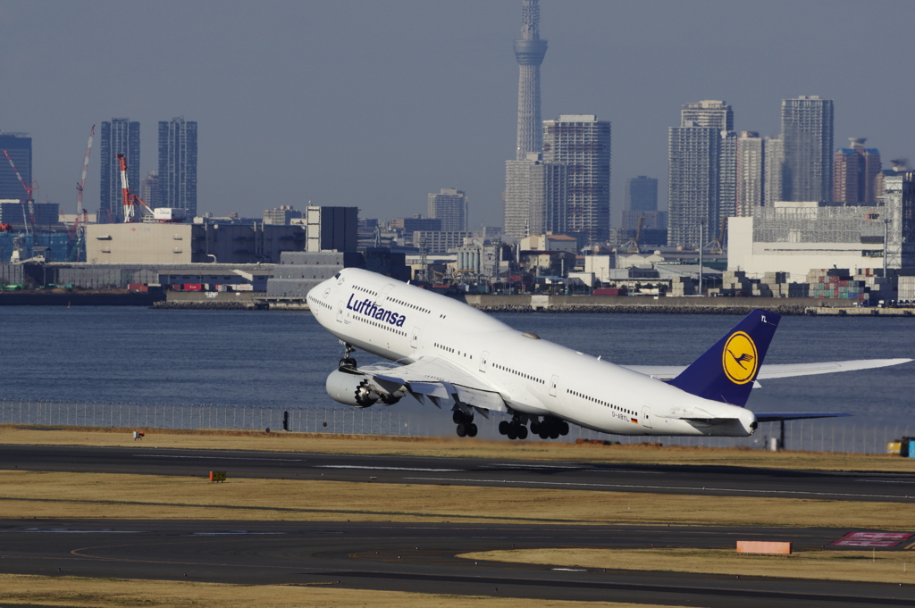 To the sky Lufthansa