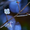 気まぐれ
