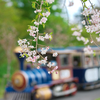 桜とフラワートレイン