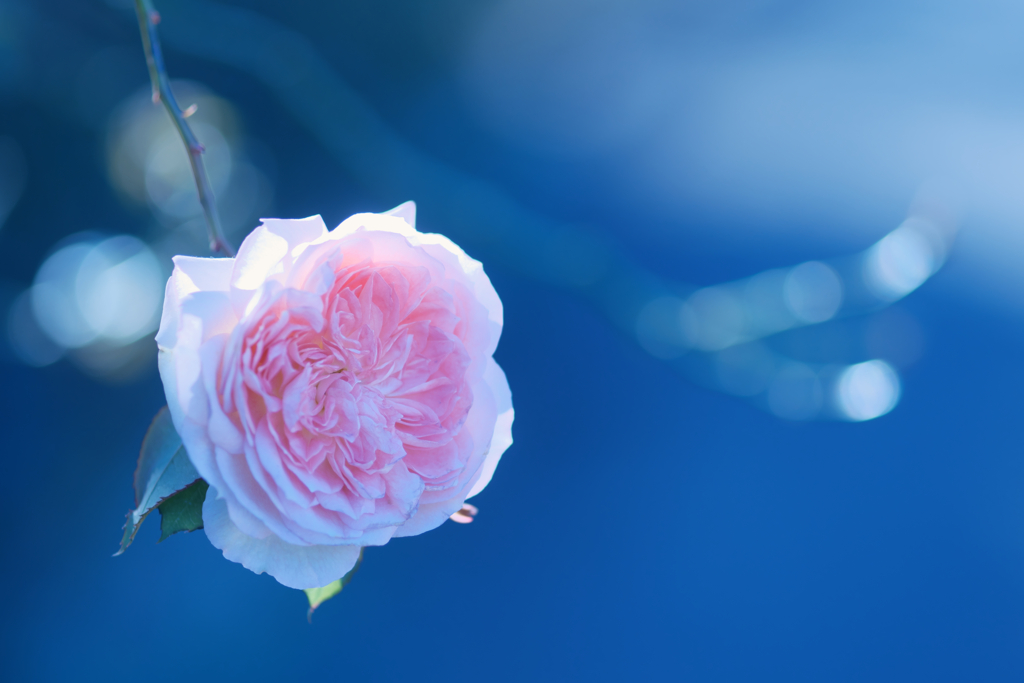 明けましておめでとうございます。