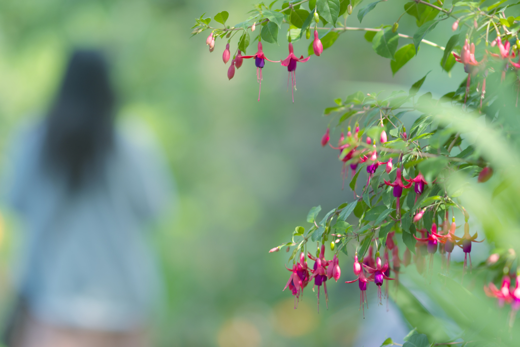「ちょっと彼女、素通りかいな。」