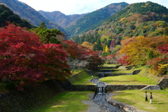 養老公園の紅葉　2