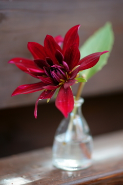 a single flower vase