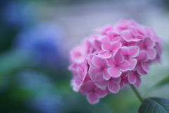 Strong affection