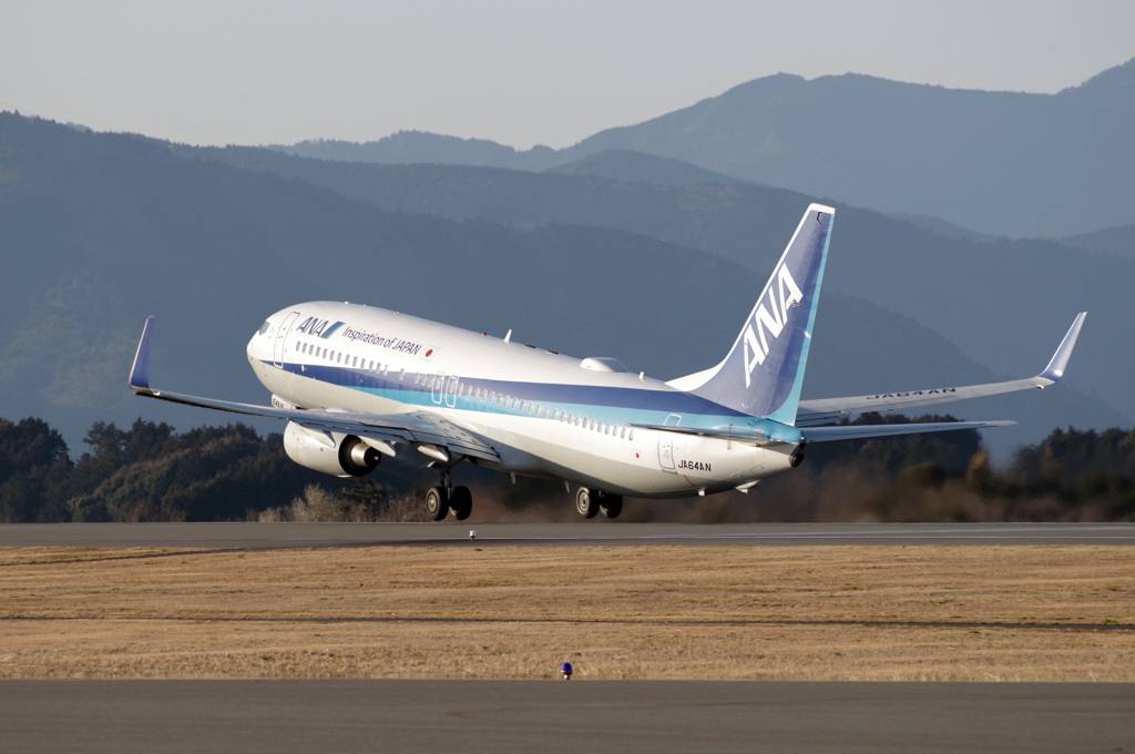 空の日のANA