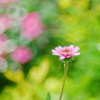 shyness
