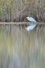 獲物ゲット！・・・葉っぱかいな。