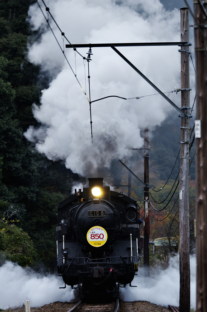 大井川鉄道　850万人達成！
