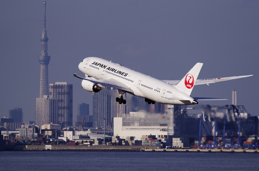To the sky JAL