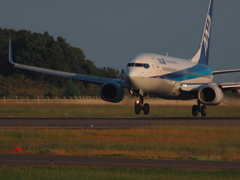 静岡空港へ遊びに来ませんか　1４