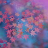 in my dream 2