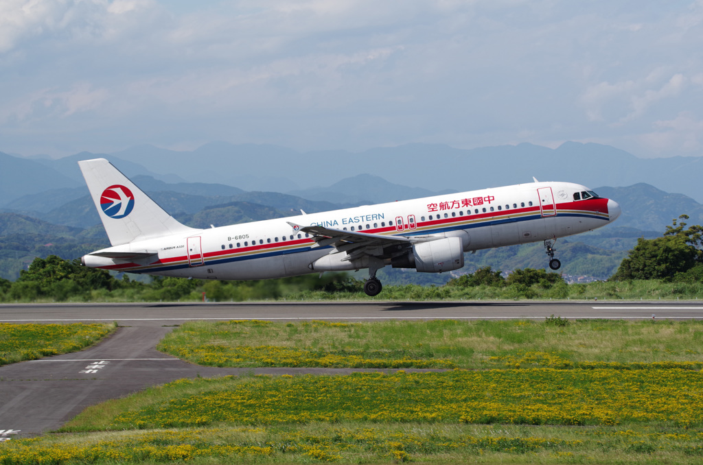 中国東方航空黄色い絨毯を飛ぶ！