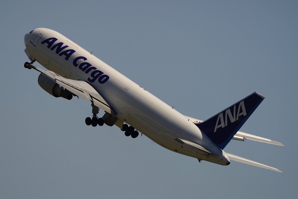 ANA CARGO