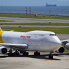 こいつもでかいね　カリッタ君