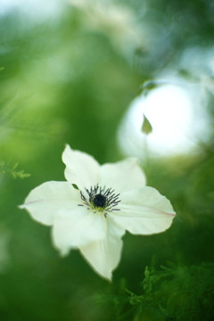 mental beauty