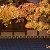 香嵐渓の紅葉　２
