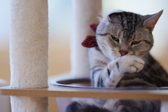 ここだけの話だけどさぁ・・・