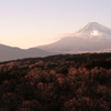 スカイウォークからの富士山