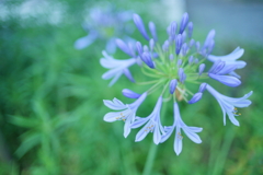 公園の片隅で