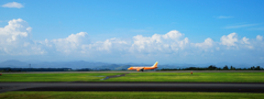 夏空にオレンジ