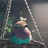 動物園の鳥さん　22　ライラックニシブッポウソウ