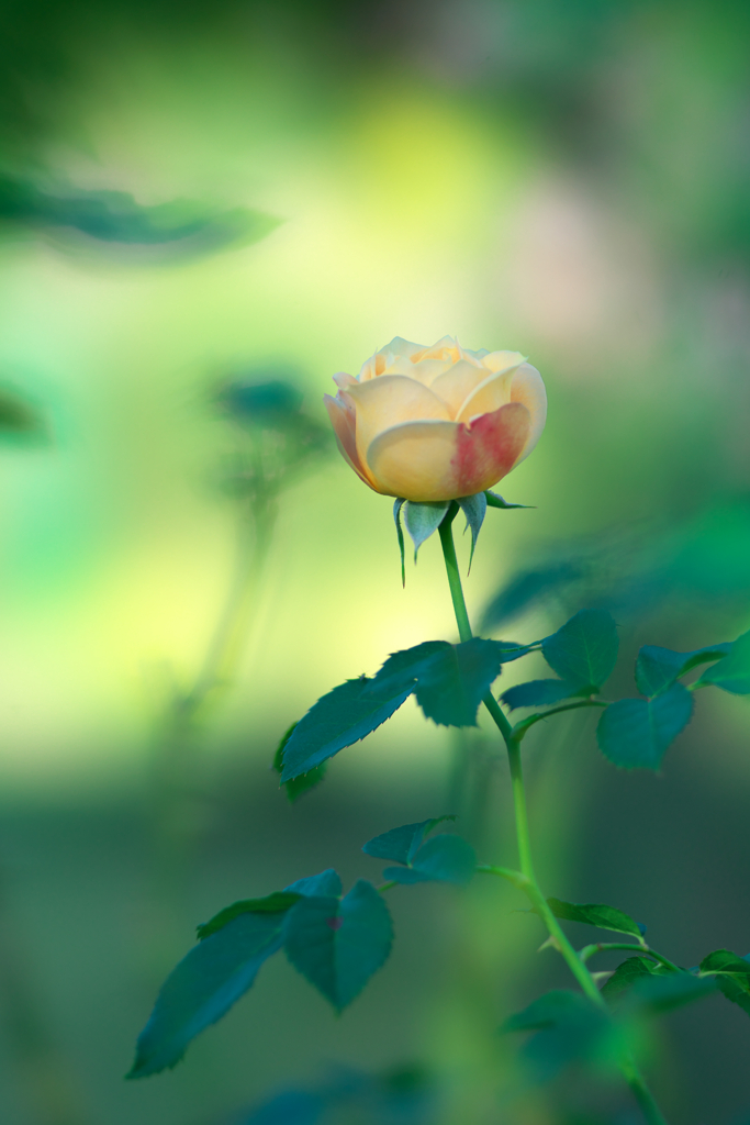 to you