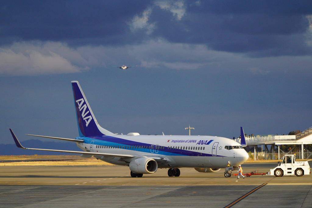 ANA見てたらなんか来たね
