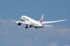 見よ！翼のしなりを！