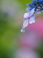 濡れて・・