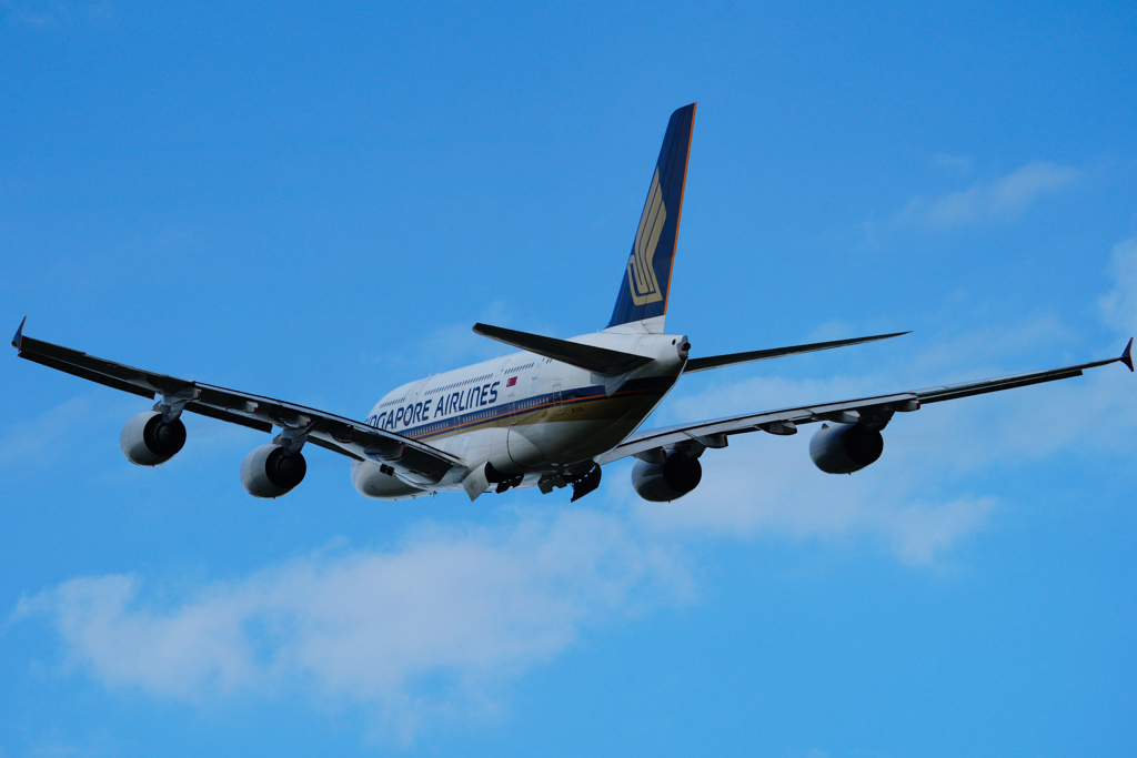 シンガポール　A380