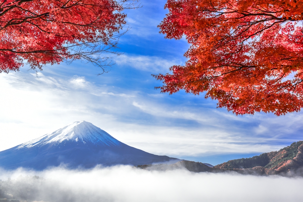 雲上の紅葉