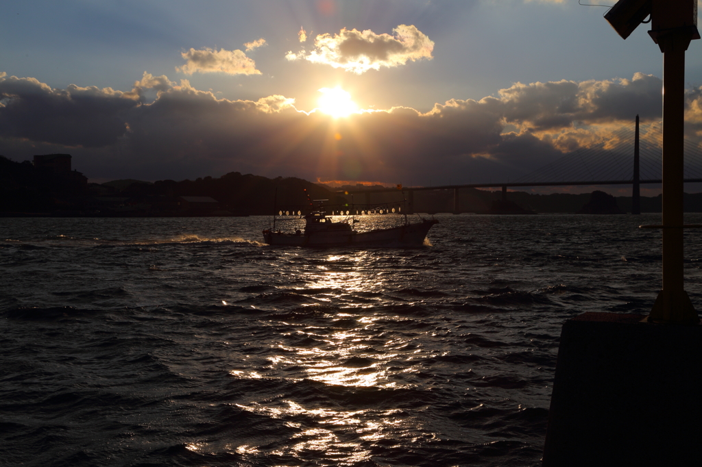 海渡る