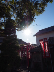 光と赤旗