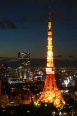 東京タワー2013