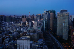 世界貿易センタービルより新橋・東京方面