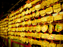 鎌倉 八幡宮