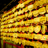 鎌倉 八幡宮