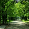 ★大阪城公園★