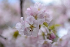 雨はもうやんだよ！