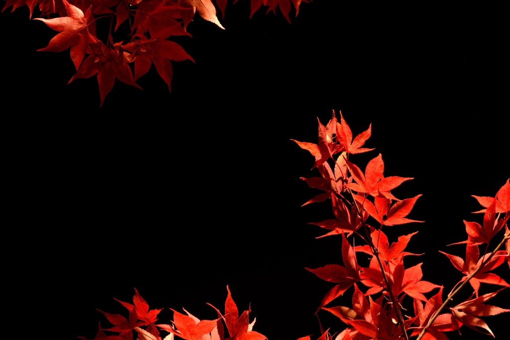 黒紅