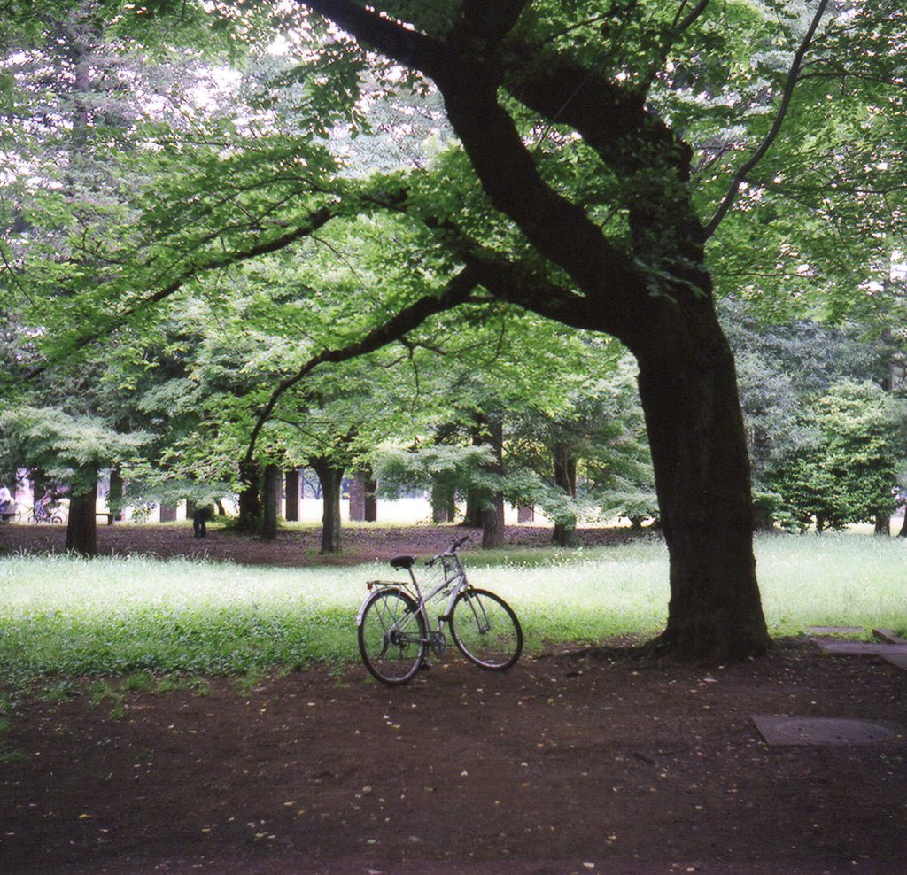 自転車ひとやすみ中