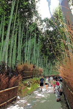 落ち着く空間