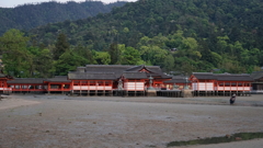 宮島 嚴島神社