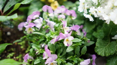 SEL28F20サンプル写真